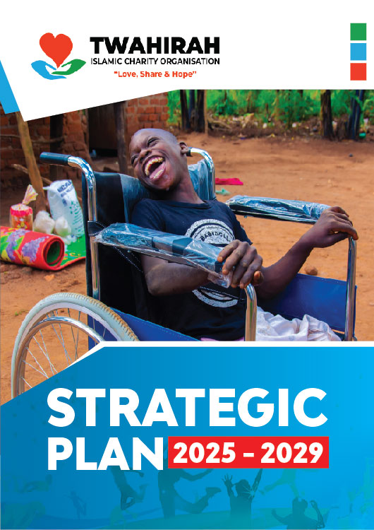TICO STRATEGIC PLAN 2025-2029